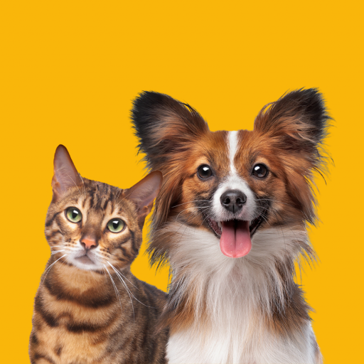 A campanha do MarÃ§o Amarelo pet tem como objetivo alertar sobre as doenÃ§as renais em gatos e cachorros. Saiba mais.