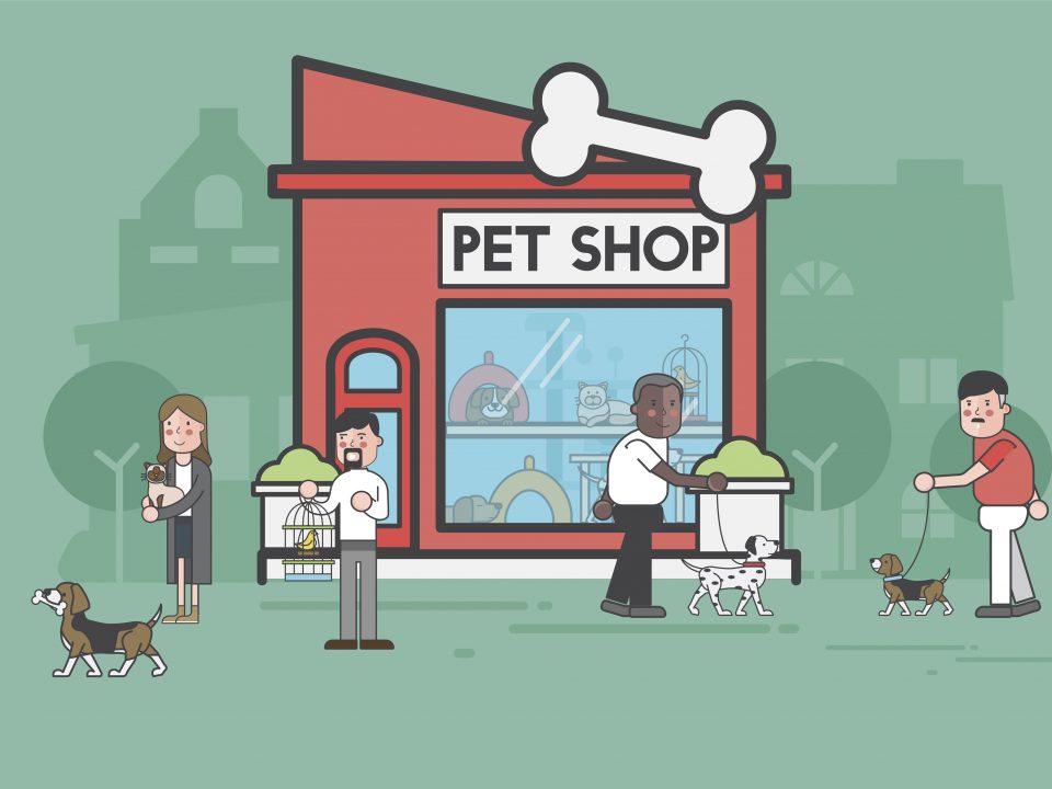 Como montar uma vitrine de pet shop atrativa para o cliente